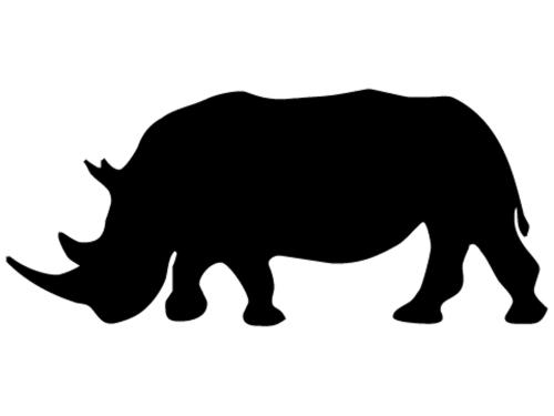 The Rhino