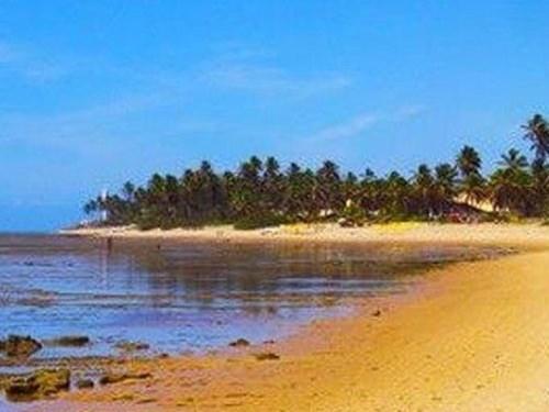 praia-do-forte.jpg