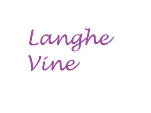 immagine-1.png