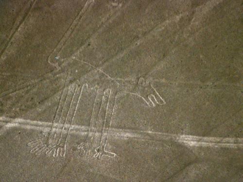 nazca-lineas-perro-c01.jpg