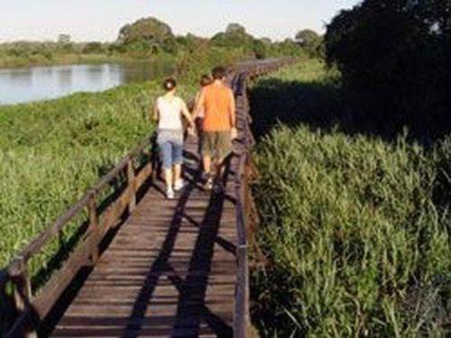 Pantanal