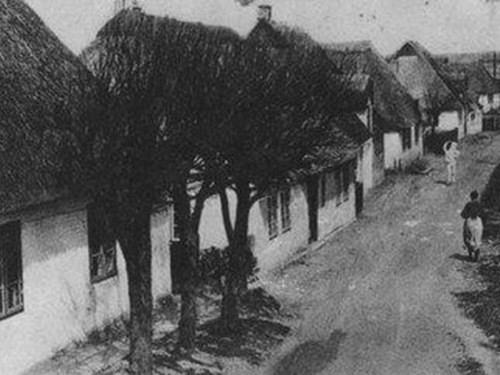 altedorfstrasse1_1200dpi_gray_internet-1.jpg