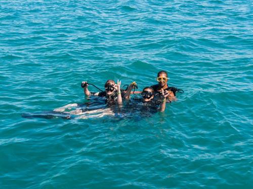 Os 10 Melhores Passeios Turisticos em Porto Seguro