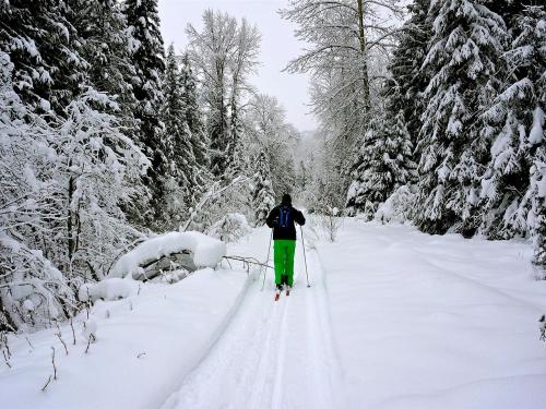 Winter