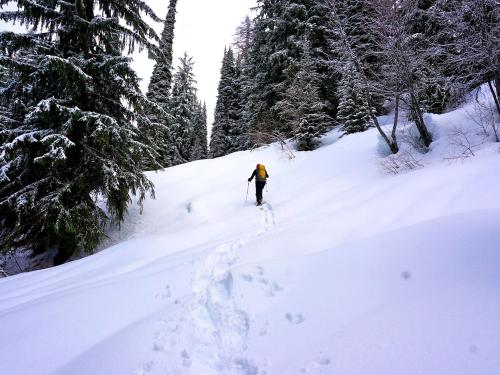 Winter at the Lodge