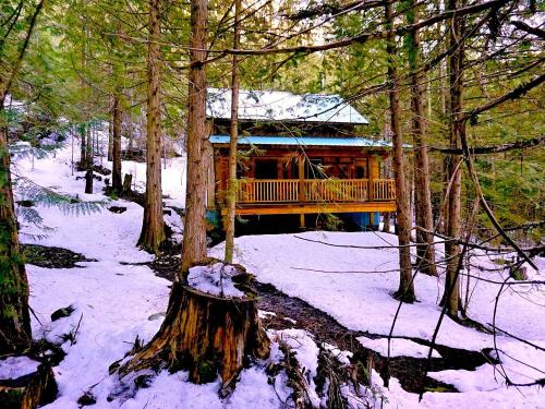 Winter at the Lodge