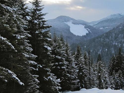 Winter at the Lodge