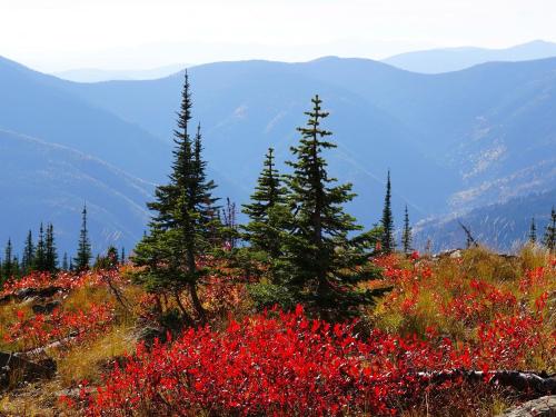 Stunning Colours in Fall