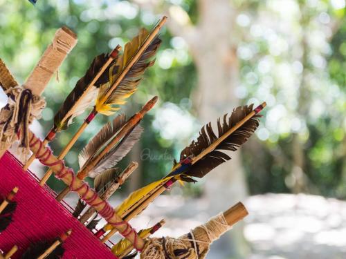 Reserva Pataxo da Jaqueira