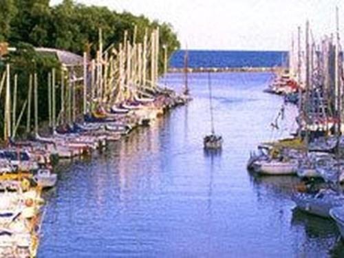 img_-16.jpg