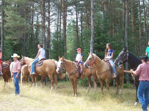 Holiday Stables