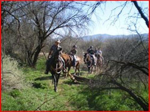 Outdoor Activities & Tours