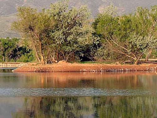 Area State Parks