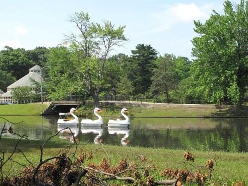 Area Attractions