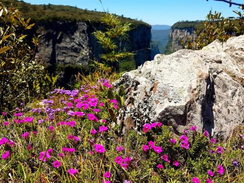 Canyon Itaimbezinho - Bordas