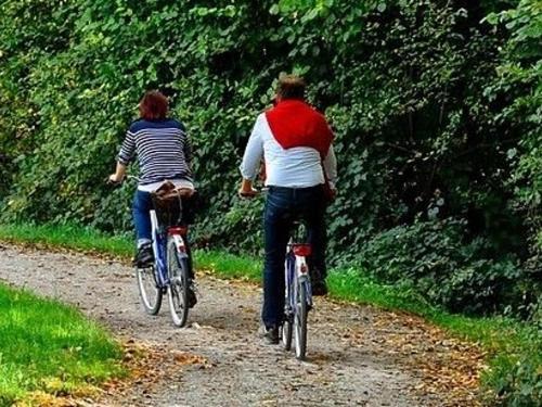Bike Trails