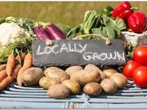 Fruit & Flower Centers in the Berkshires