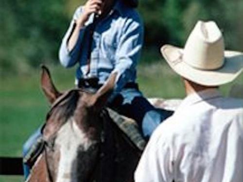 Berkshire Horseback Adventures