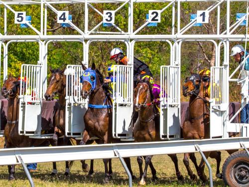 Halls Creek Events
