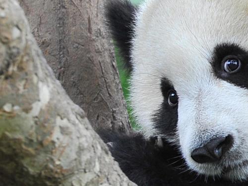 Calgary Zoo Package
