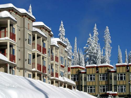 Guest Reviews