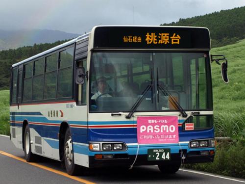 43991182